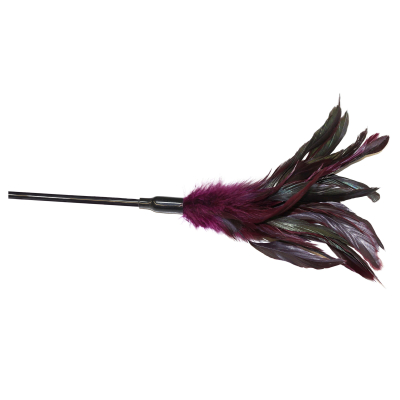 Cat Claws Katzenspielzeug Wiggler Jumbo
