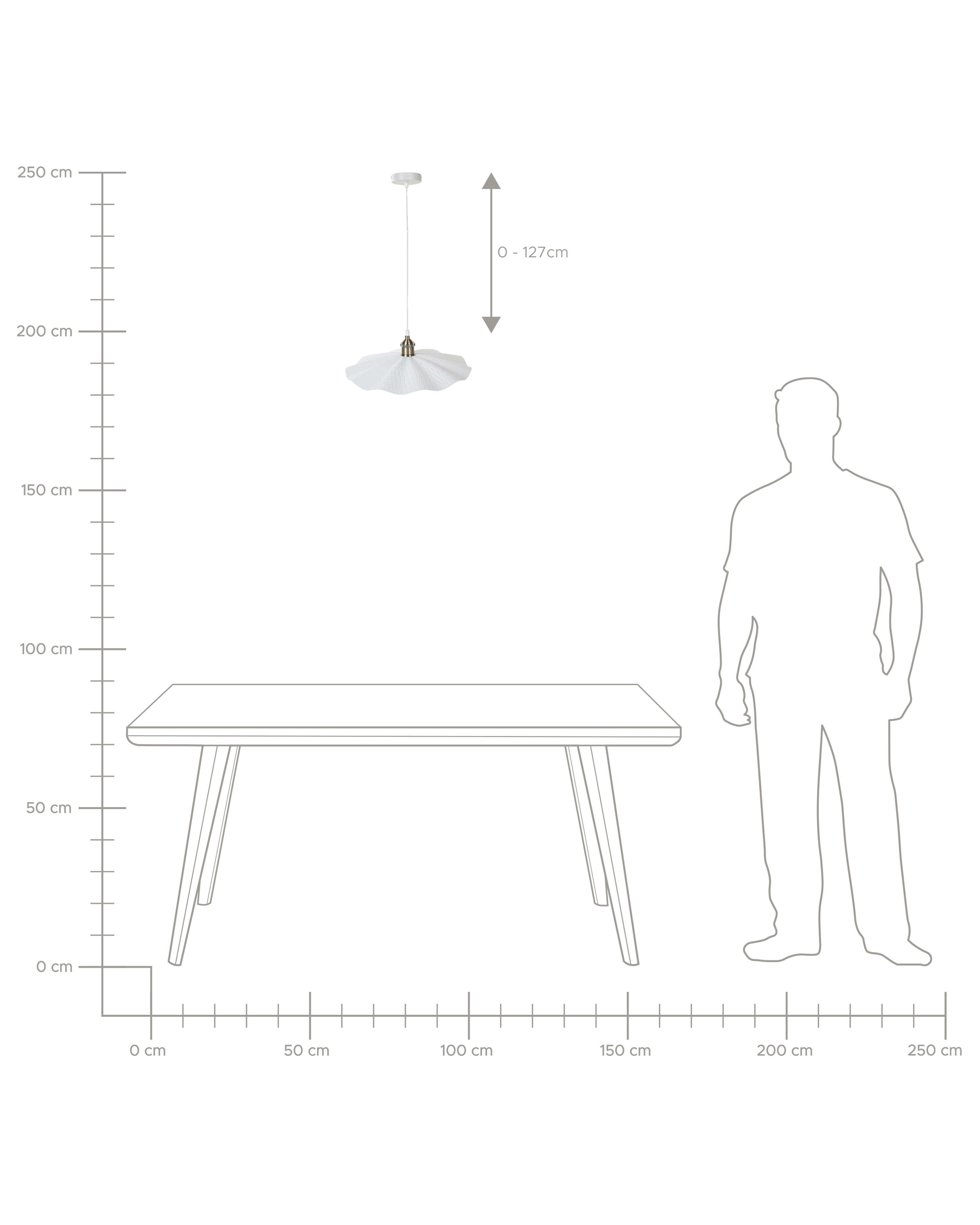 Hanglamp PHILS Metaal Wit