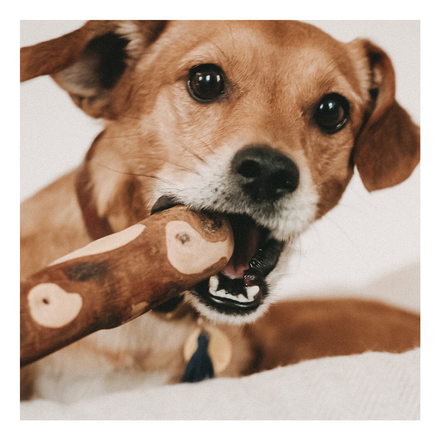 LILA LOVES IT Kauholz Woody  - M (ca. 23 cm. 100 - 200 g)