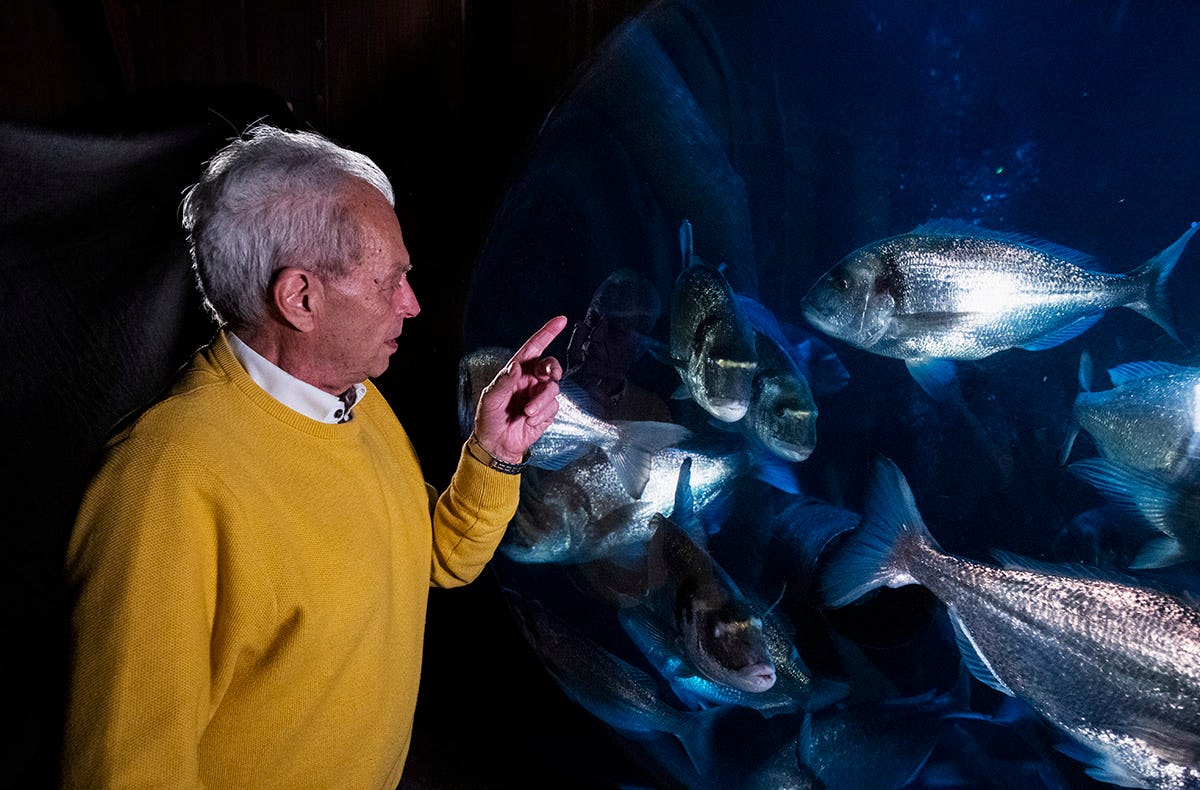 Sea Life Speyer (Kinder-Ticket)