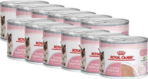 Royal Canin Mother And Babycat Mousse Ultra Tendre 12x195g