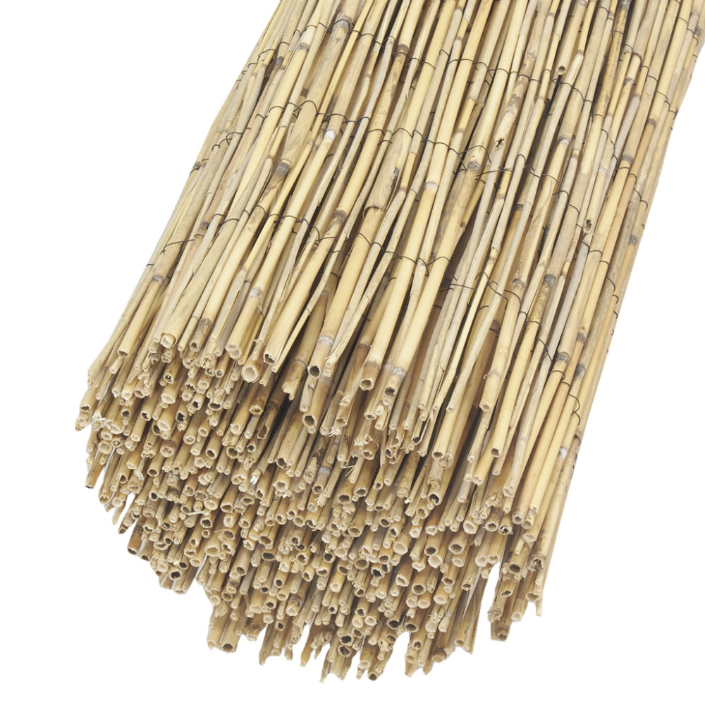 Canisse en roseau 2 x 5 m