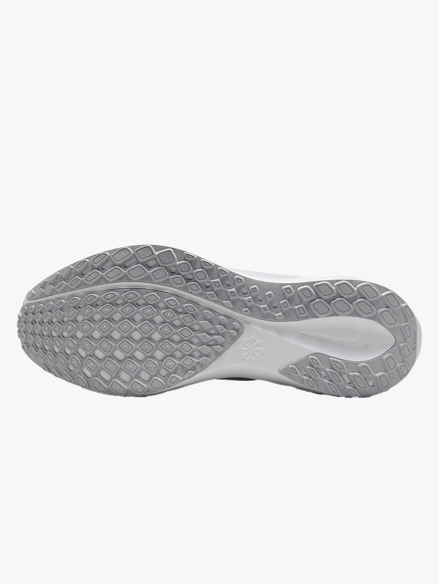 Pegasus 41