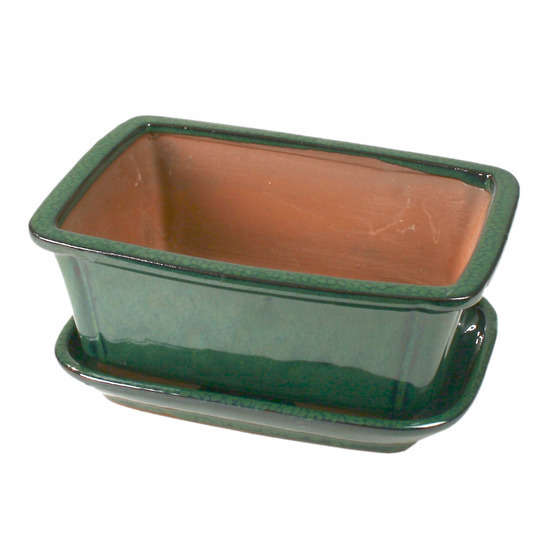 Poterie bonsaï + soucoupe, en terre cuite émaillée L. 21 x l. 16 cm