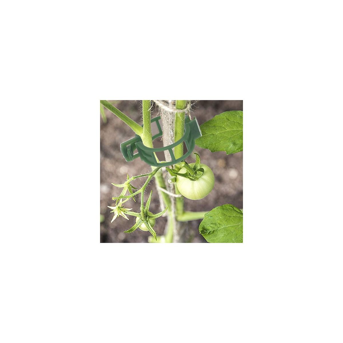 Klips for å støtte planter / espalier 100-pakning Grønn