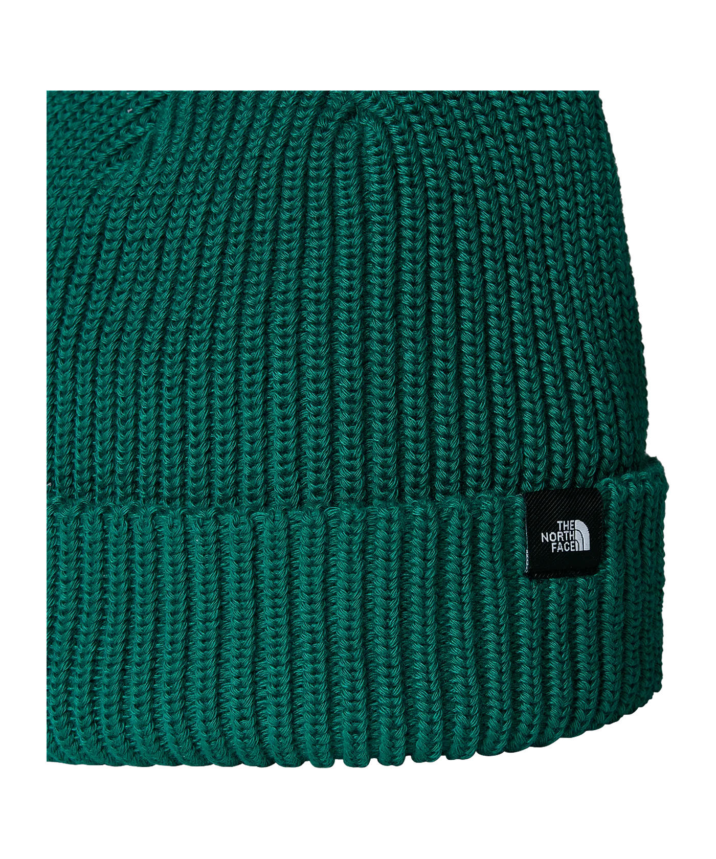 The North Face Fisherman Beanie Grün FNL1