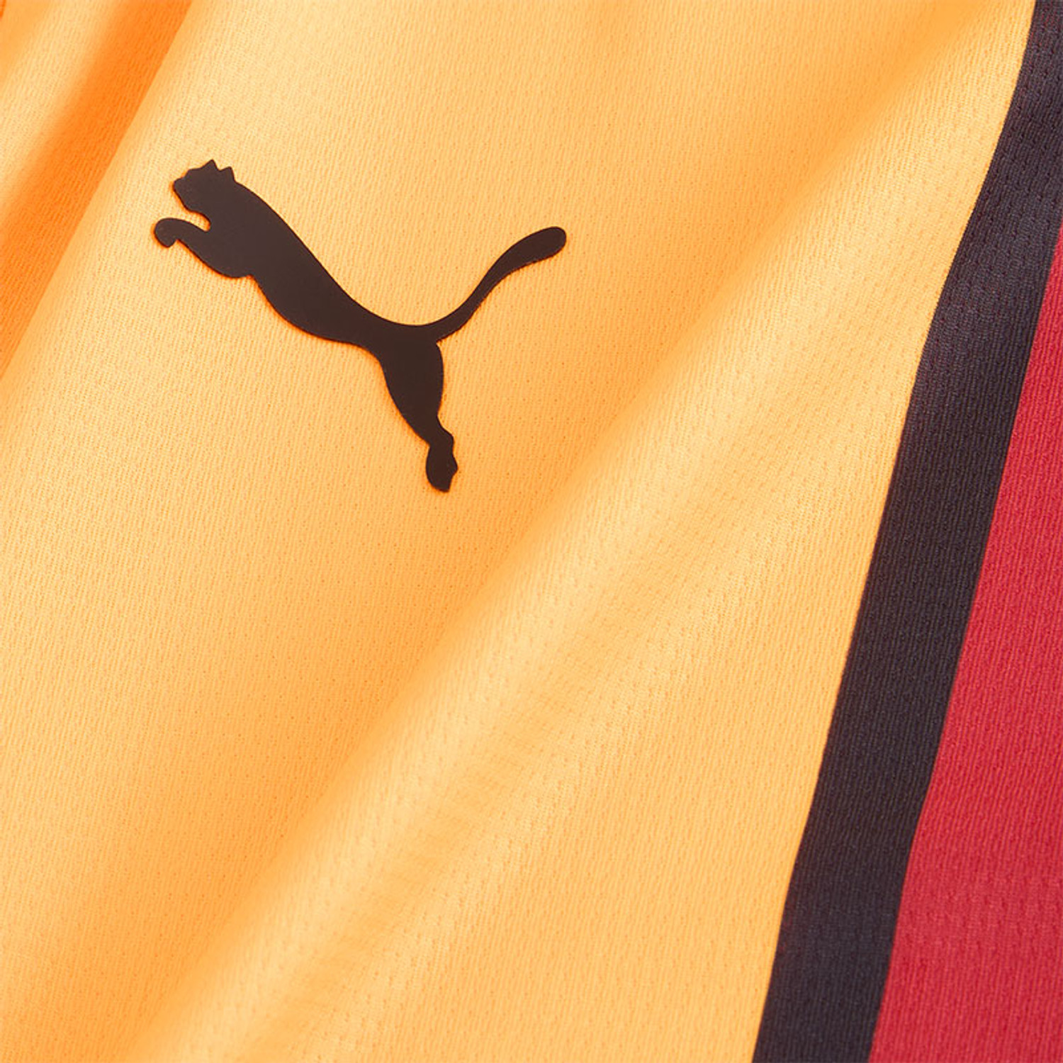Puma Galatasaray Thuis Shirt Kids 2024/2025