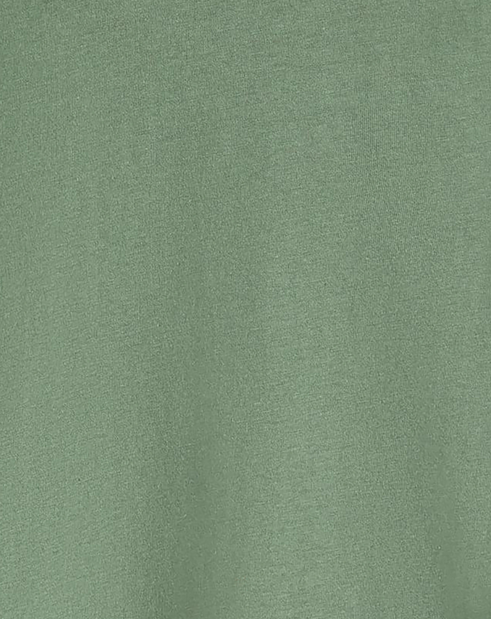 Langarmshirt NMMTRULLE SPINOZAUR in duck green