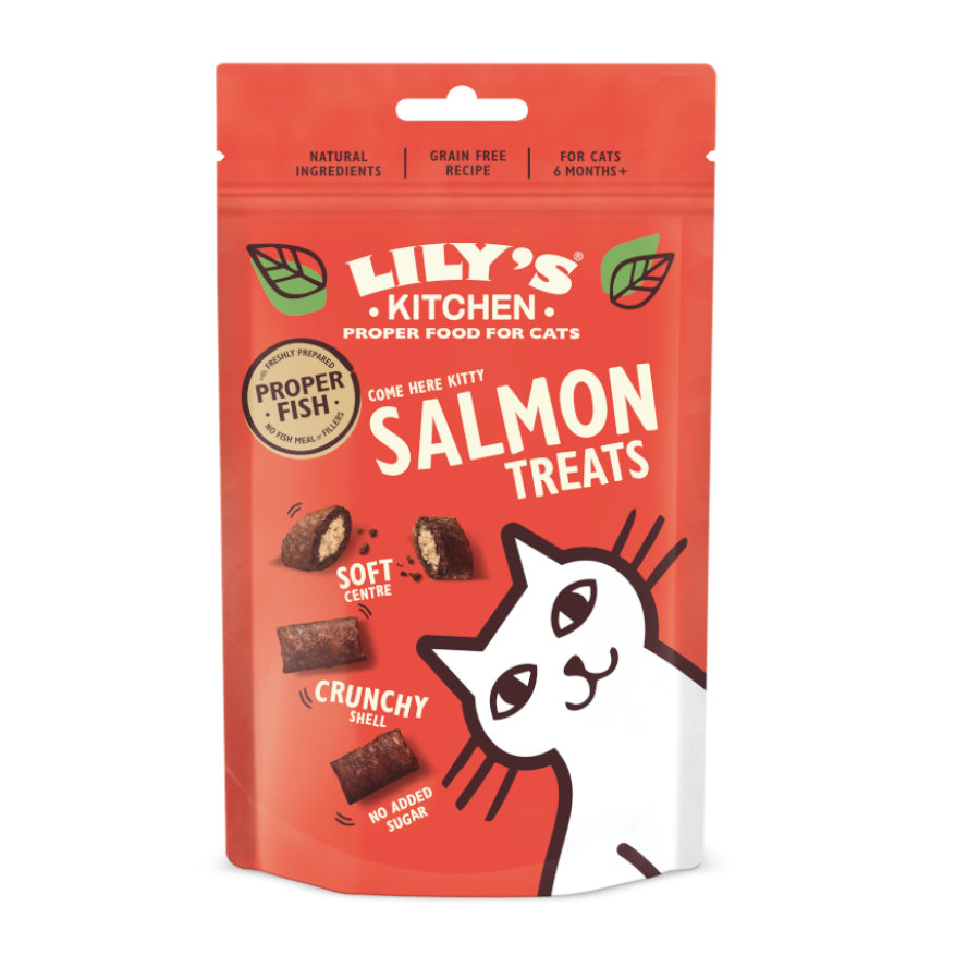 Petiscos de salmão da Lily's Kitchen para gatos