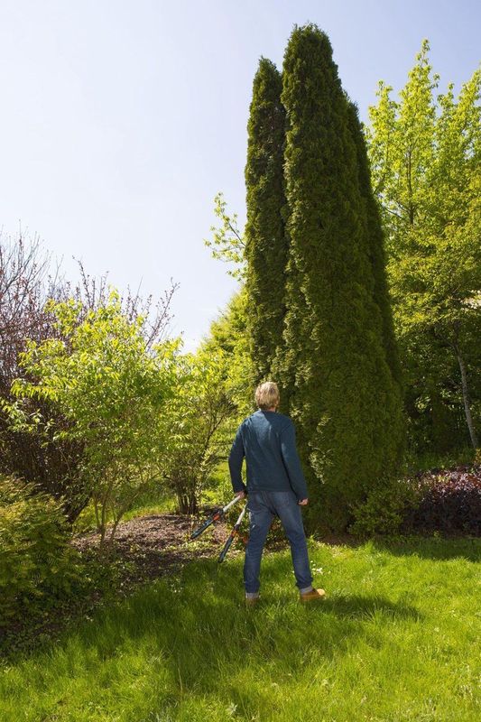 Gardena - TeleCut - Heggenschaar - Telescopisch - Gekartelde Bladen