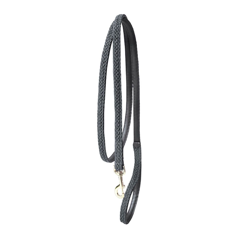 Kentucky LAINE 2M - Laisse pour chien gris