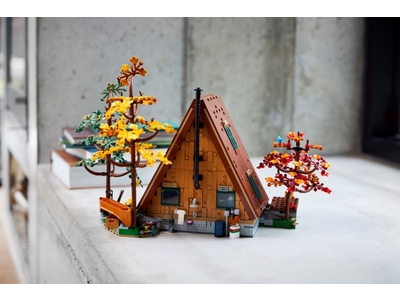 LEGO A-frame boshut (21338)