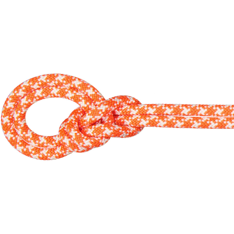 Mammut 9.5 Crag Classic Kletterseil