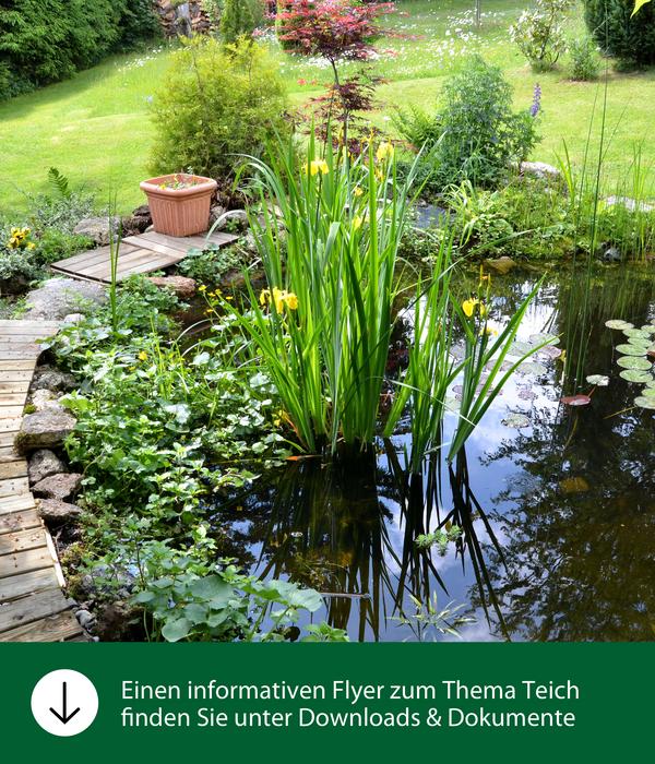 Dehner Aqua Basiswasserpflege