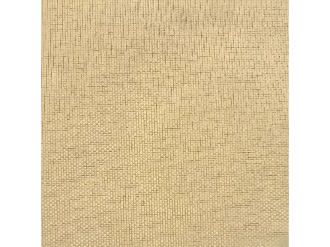 Voile d'ombrage en tissu Oxford rectangulaire 2x4 m Beige