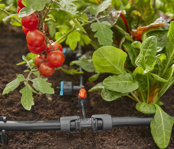 GARDENA Micro-Drip-System Reduzierer, 1/2