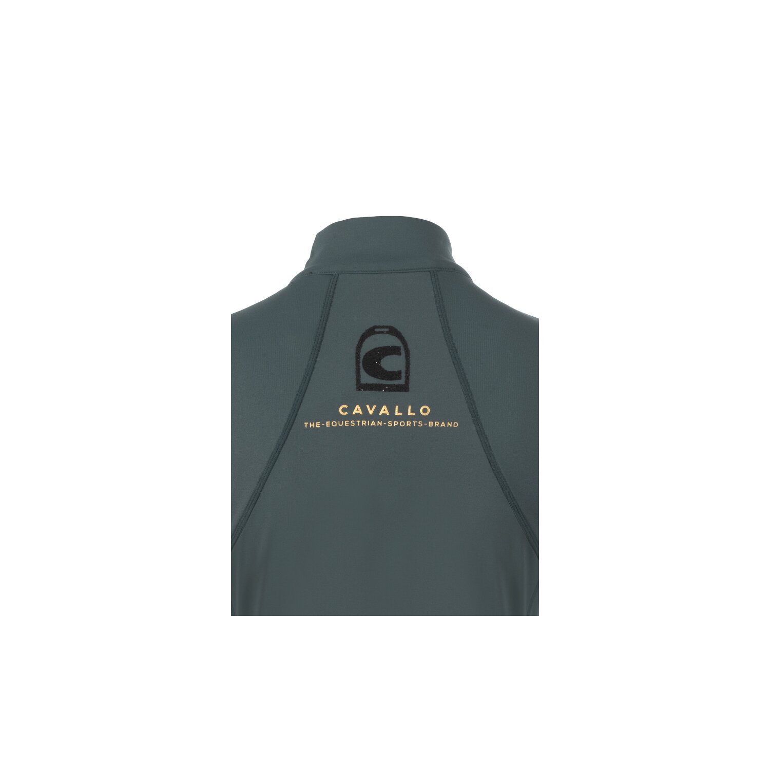 Cavallo Funktionsshirt CAVALMERIT - silver pine