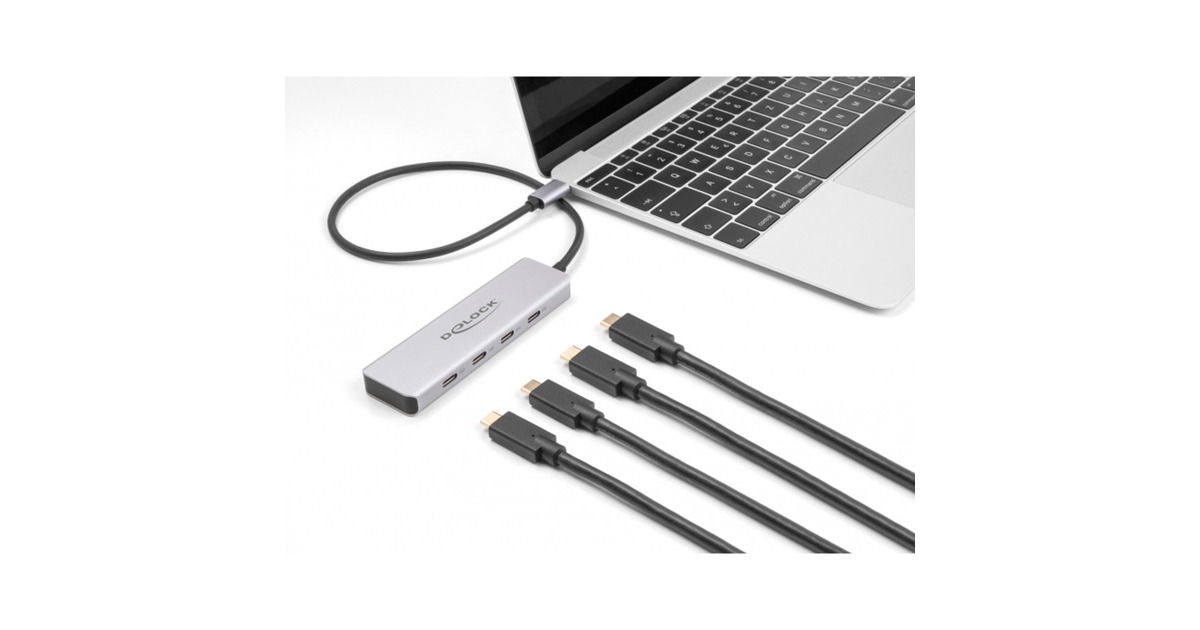 DeLOCK64231 usb-hub  (Grijs, 4x USB-C 3.2 (10 Gbit/s))