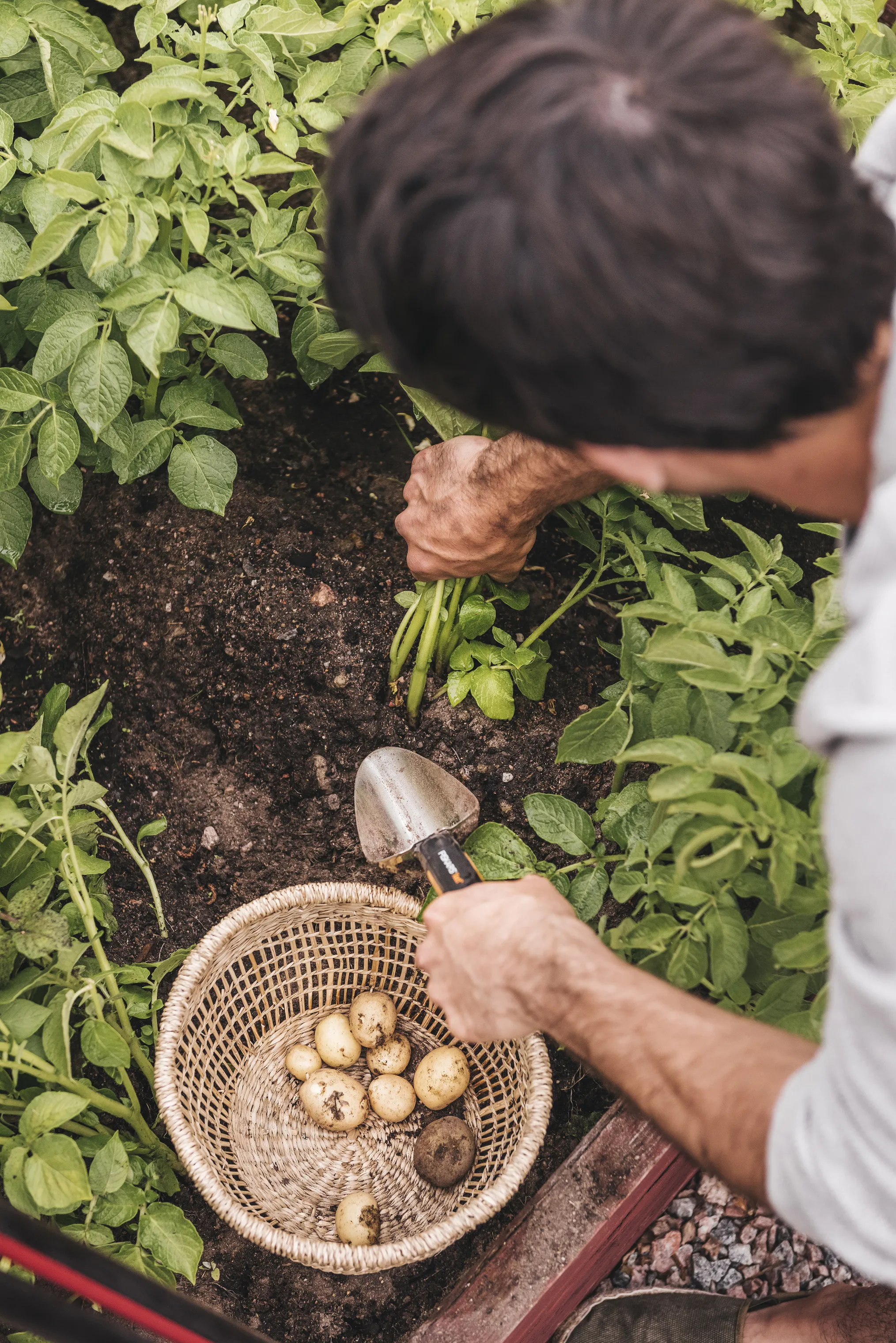 Fiskars Garden Xact Planteske
