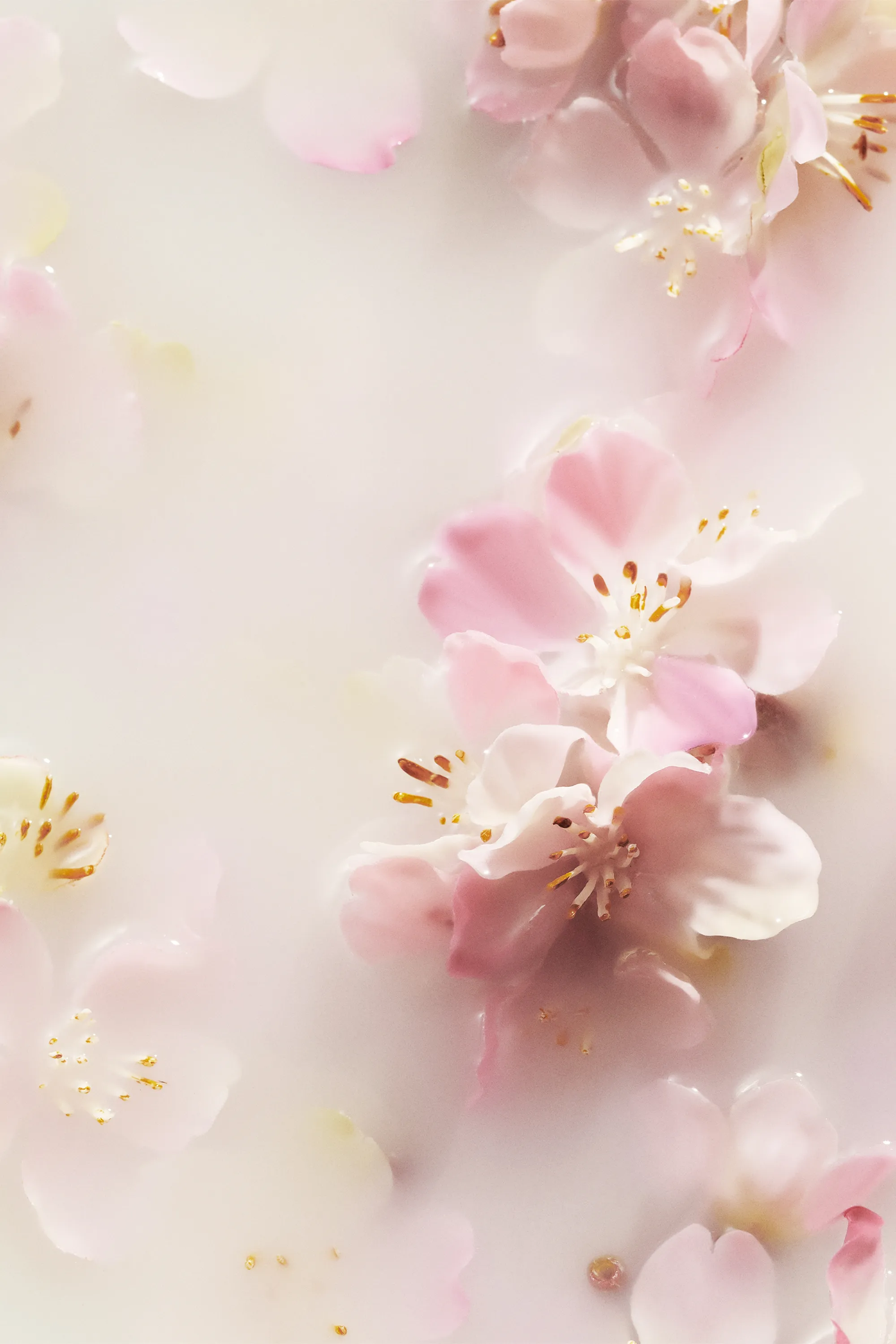 Rituals Crème pour les mains The Ritual of Sakura-70 ml