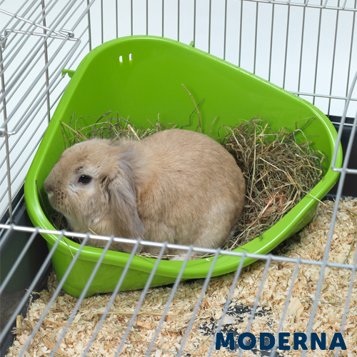 MP TOILETE CANNER RODENT GRANDE (VERDE (49x34,6x26))