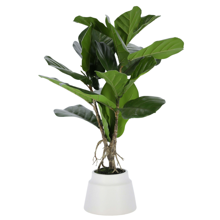 Kave Home Lyrata kunstplant 60