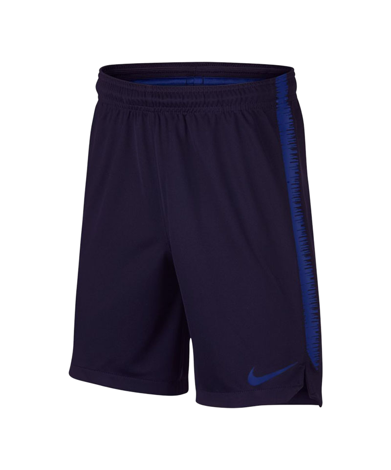 Nike Dry Squad Short Kids Blau F416
