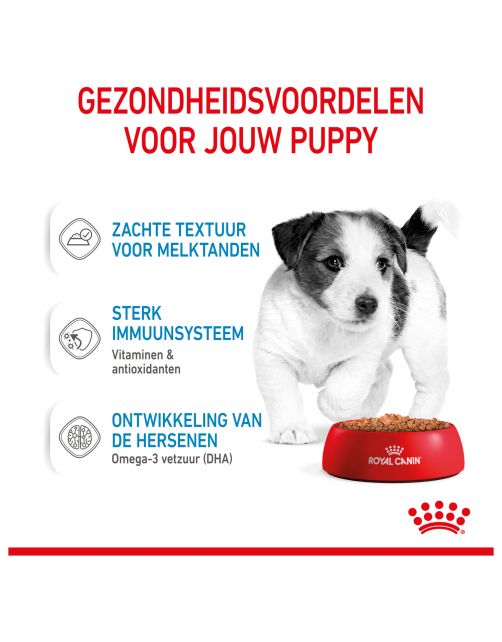 Royal Canin Mini Natvoer - Puppy-Hondenvoer - 85 g