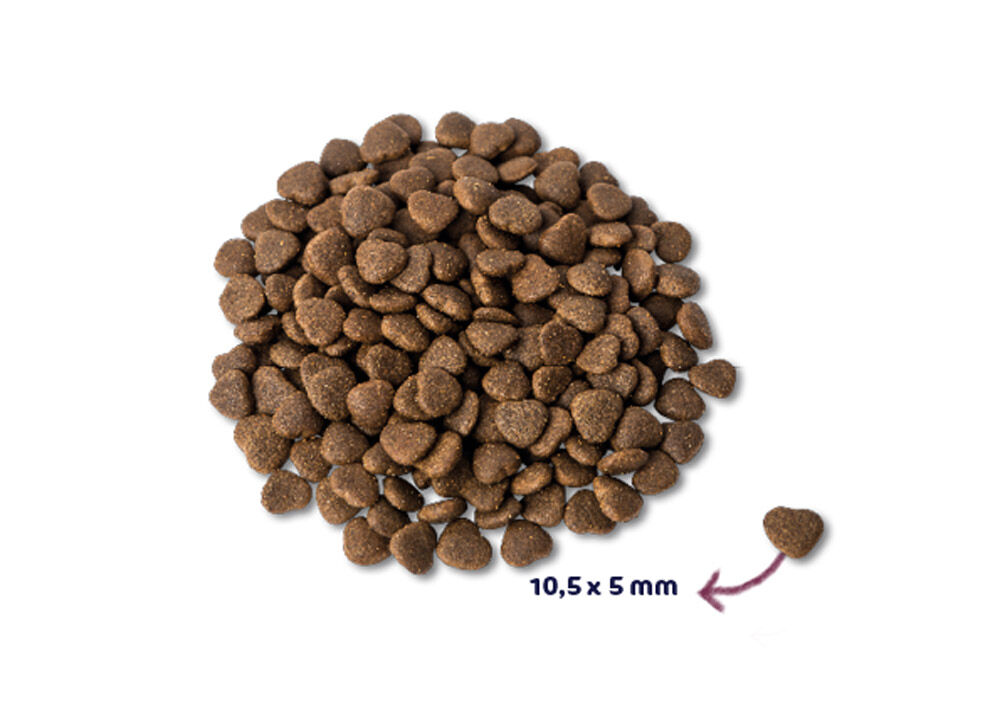 Renske Premium Adult - Kattenvoer - 6 Kilogram - zalm