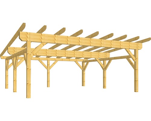 Houten constructie, lessenaarsdak, 550 x 600 cm