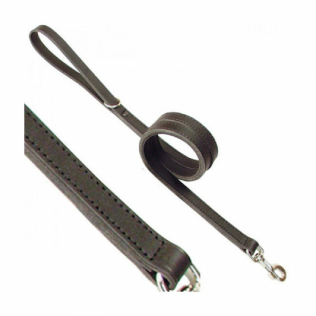 Laisse cuir ultra résistante pour chien