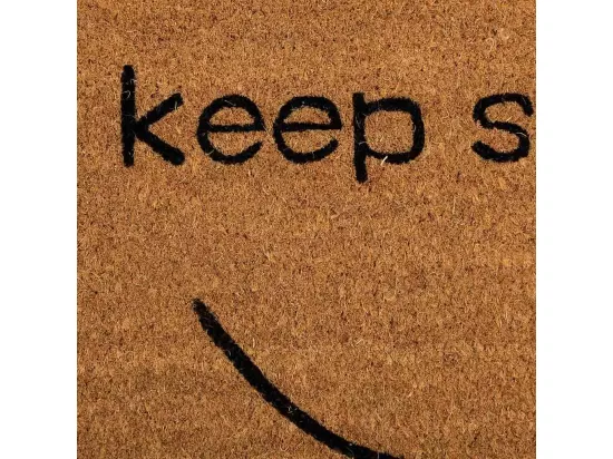 Tapis d'entrée en PVC imprimé marron 40x60