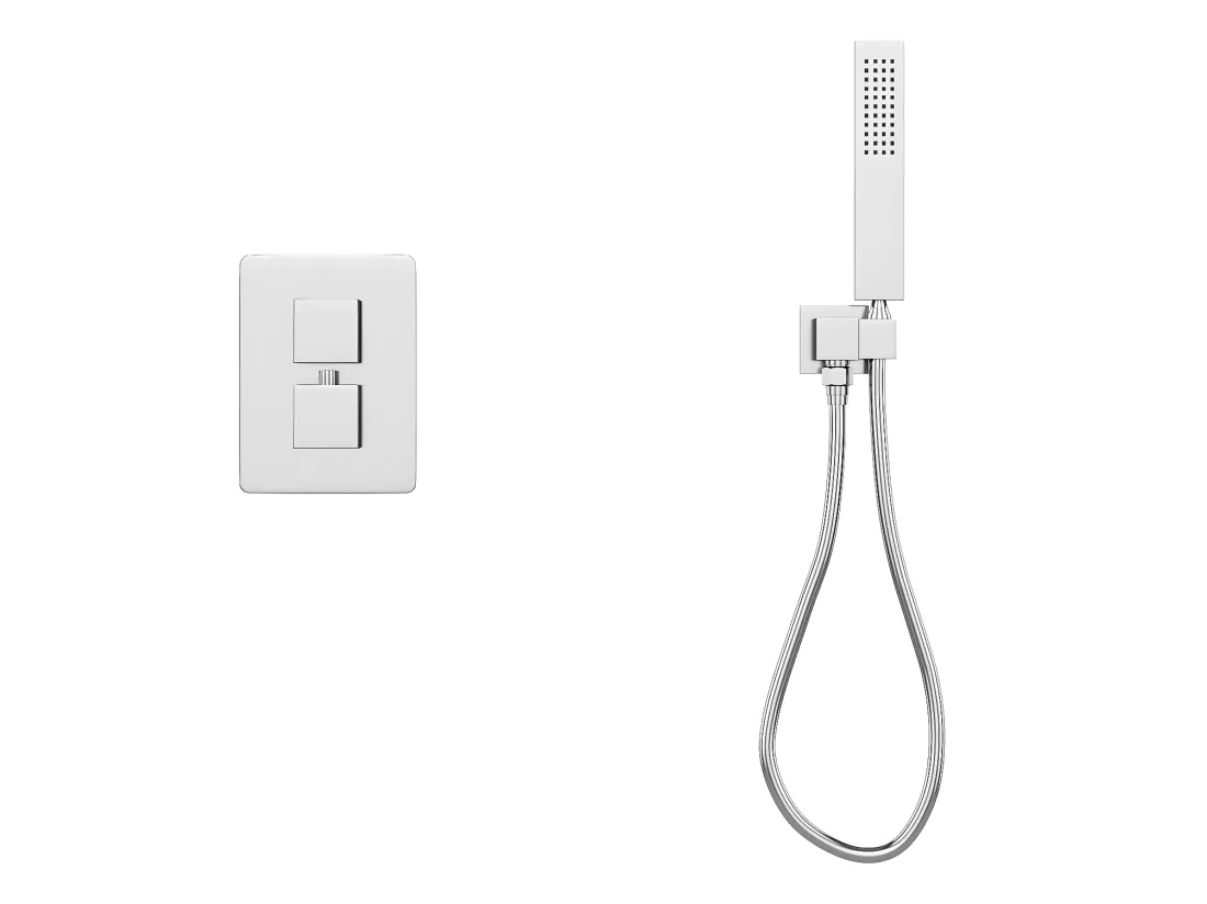 Ensemble de douche encastrable avec mitigeur thermostatique - Couleur nickel brossé - TEREK