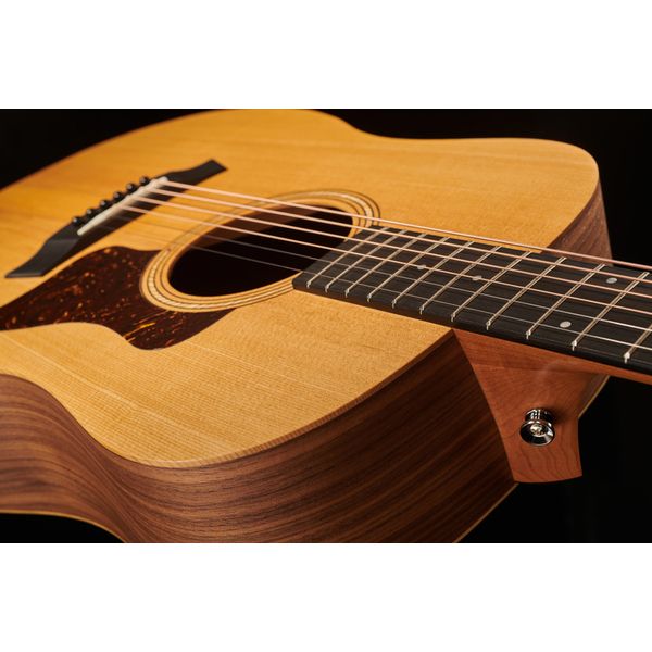 Taylor A10