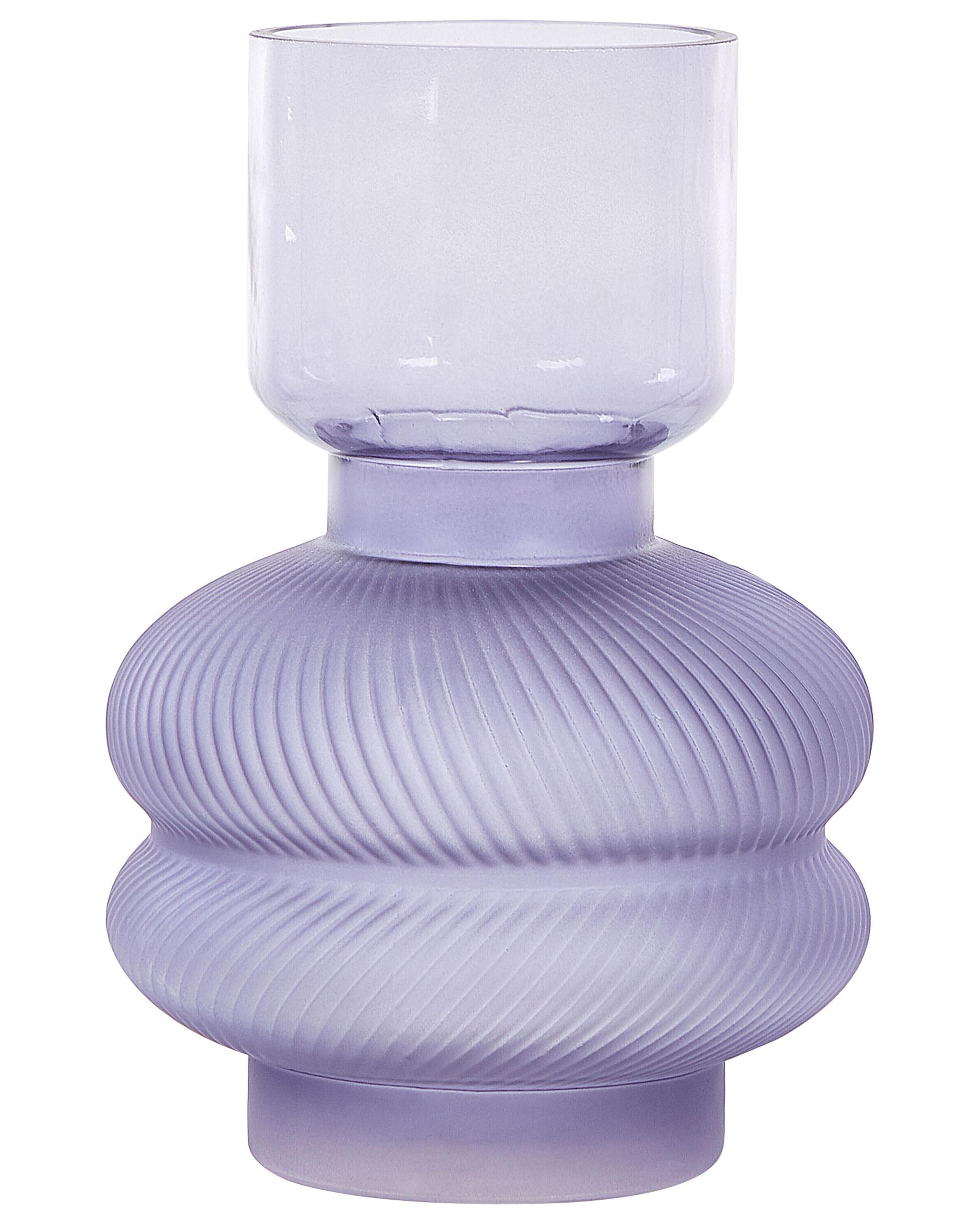 Bloemenvaas RODIA Glas 24 cm Paars