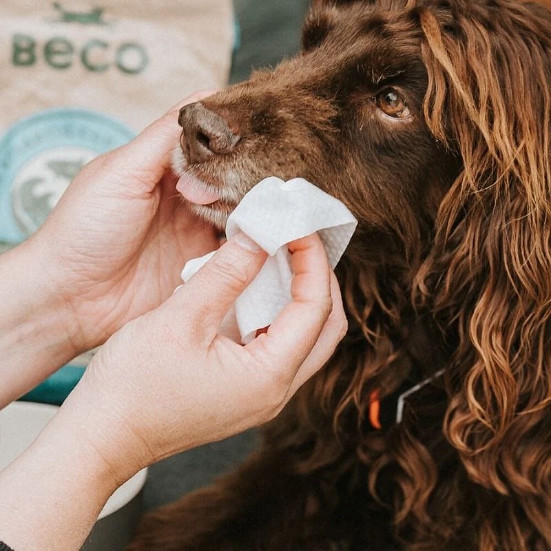 Beco BAMBOO Dog Wipes Travel 20 pack Hond | Coconut Scented | 15406.1