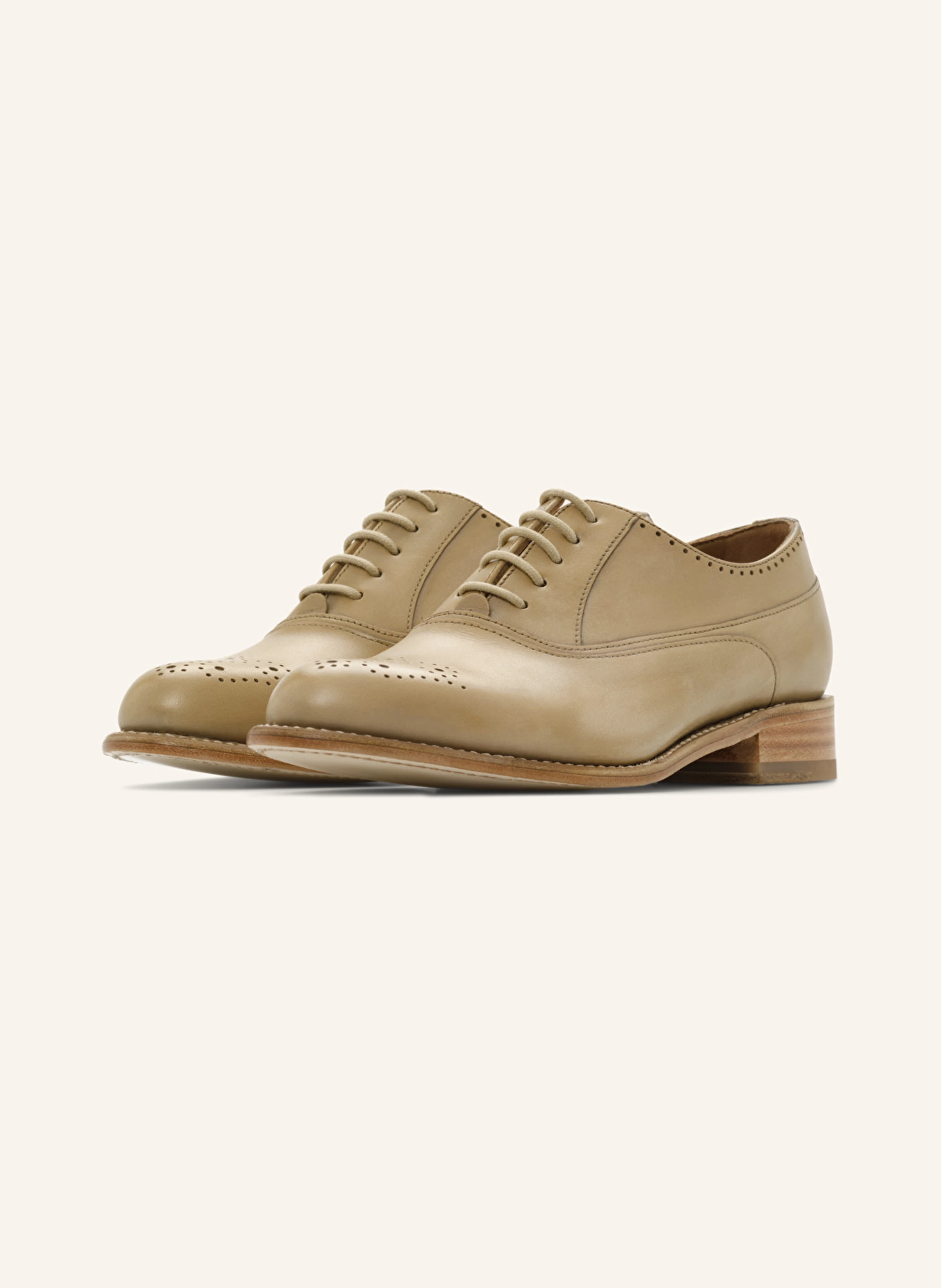 LOTTUSSE Oxford CAMBRIDGE