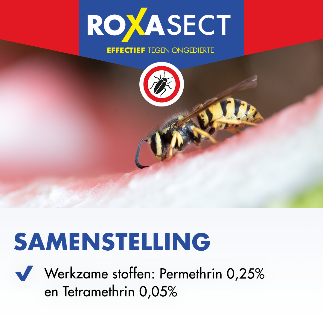 Roxasect Spuitbus tegen kruipende insecten/wespen (400 ml)