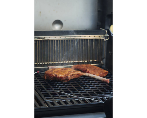 Weber CRAFTED SearGrate - GBS