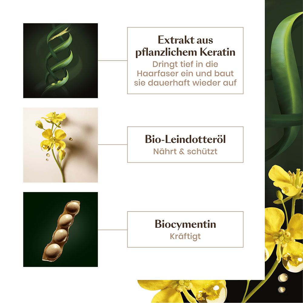 RENE FURTERER ABSOLUE KÉRATINE Ultimatives Repair Serum - leave in - bei geschädigtem Haar