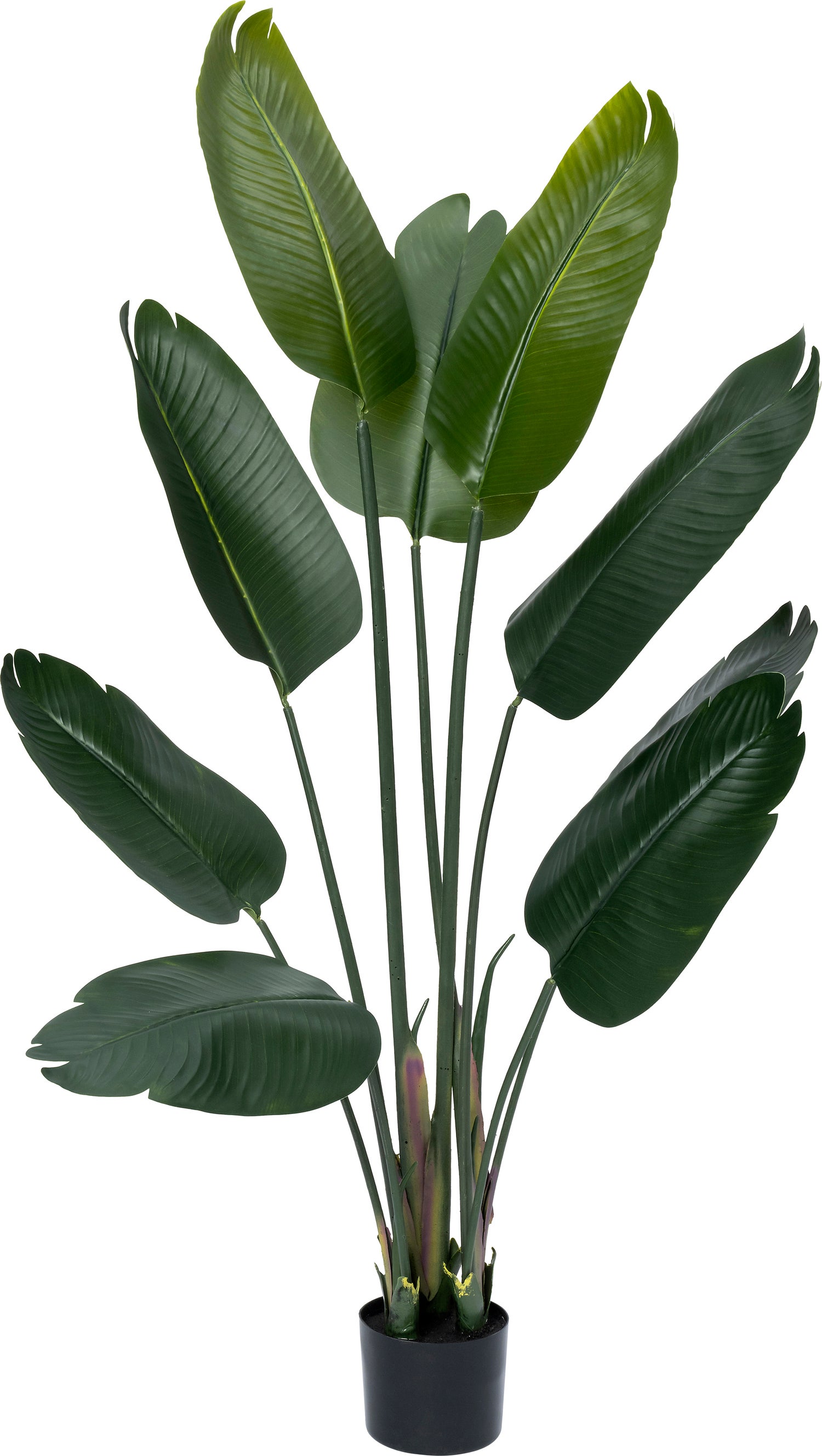 Intratuin kunstplant Strelitzia groen D 80 H 140 cm