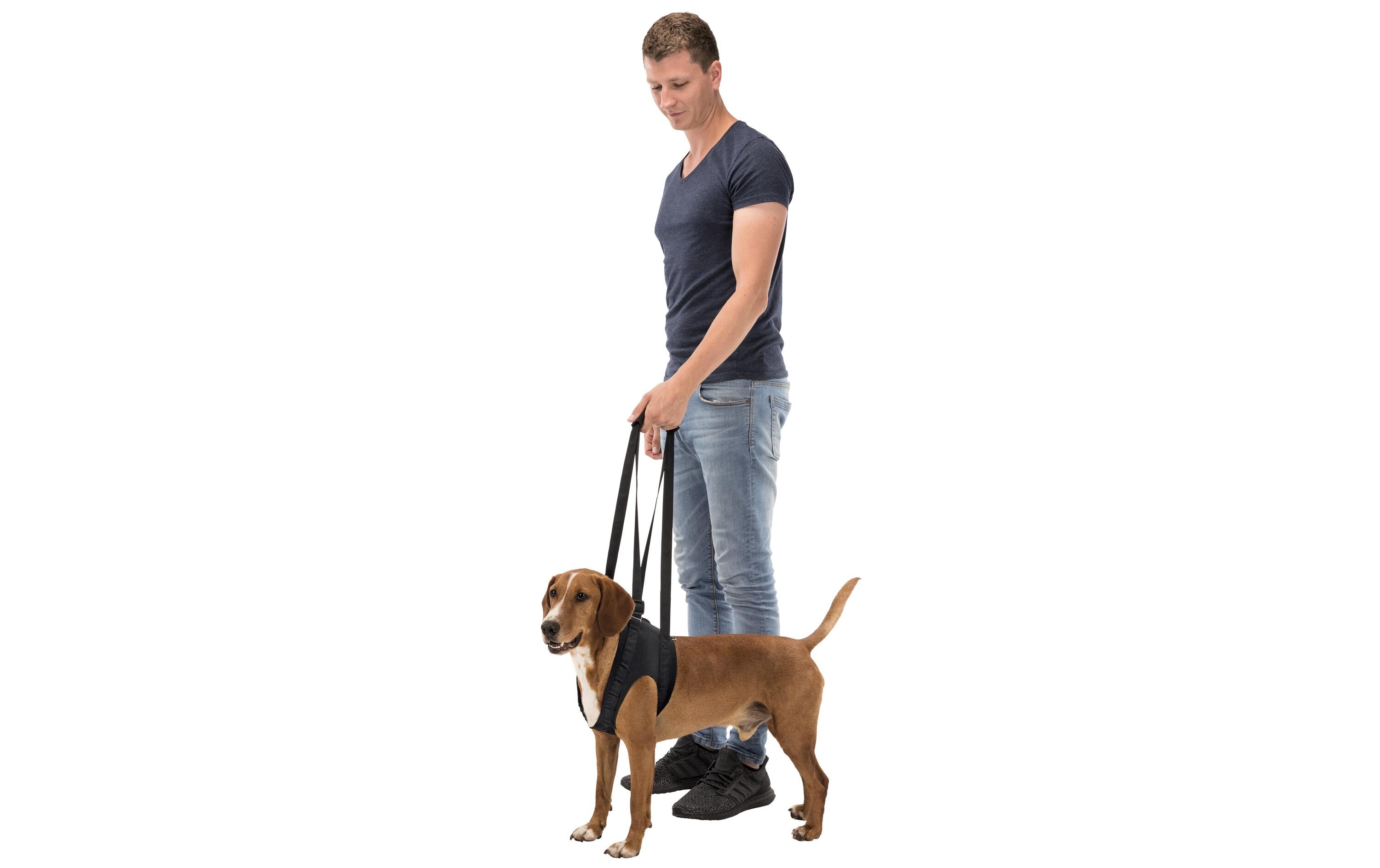 Gehhilfe, L, bis 35 kg, 65-75 cm, SchwarzGehhilfe für Hunde zur Entlastung