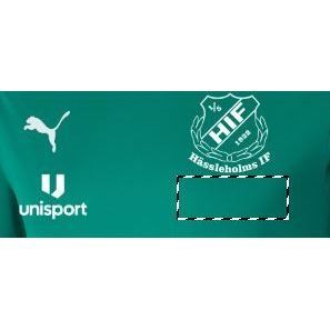 PUMA T-shirt d'Entraînement teamGOAL 23 - Vert/Vert Enfant