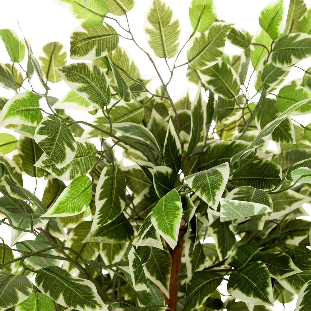 Kunstpflanze FICUS Kunststoff, Stoff hjh OFFICE