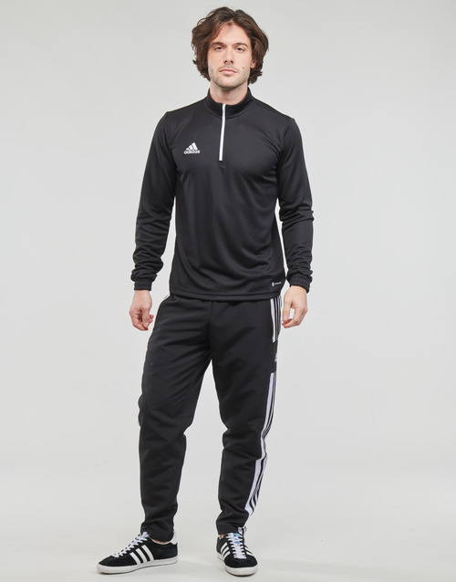 adidas Performance - SQ21 PRE PNT - Noir