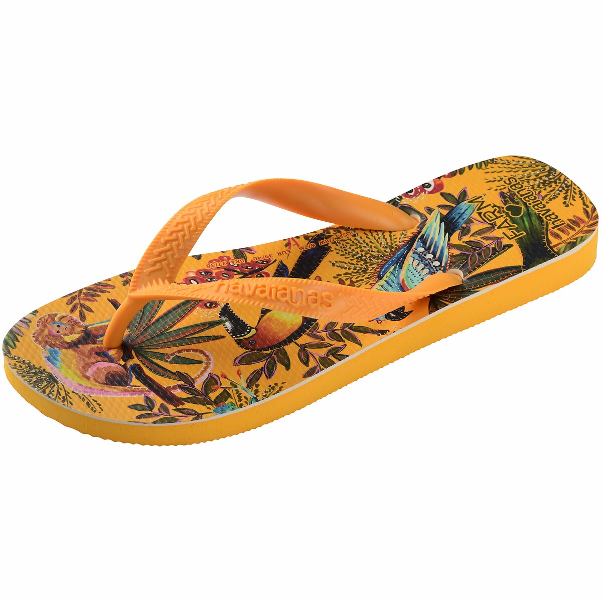 HAVAIANAS<br>Chinelos x Fazenda Rio Selva