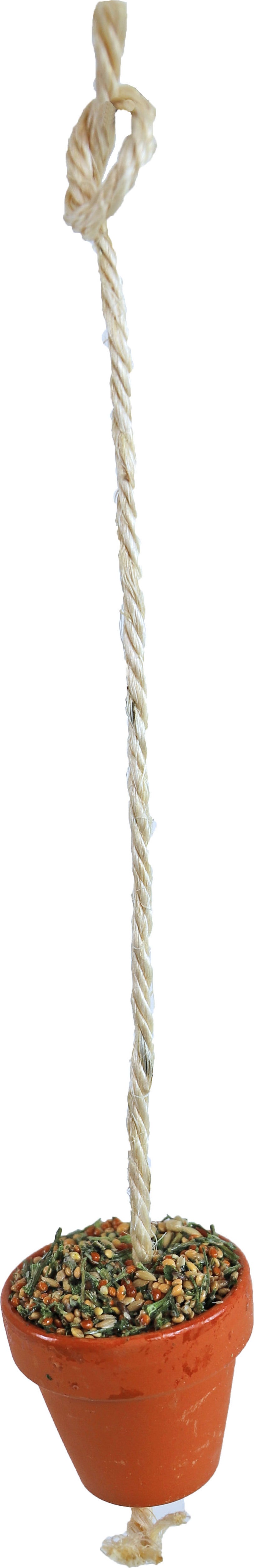 JR Farm Parkiet/Kanarie Kleipot 80 g