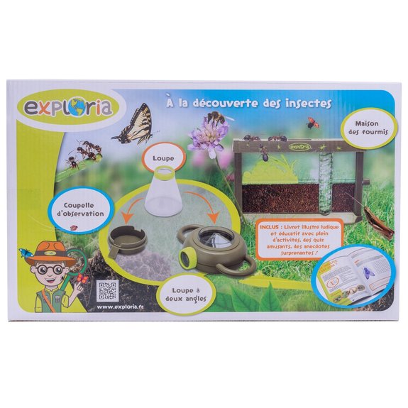 A la découverte des insectes