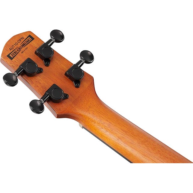Ibanez AUT10 Open Pore Natural tenor ukelele met gigbag