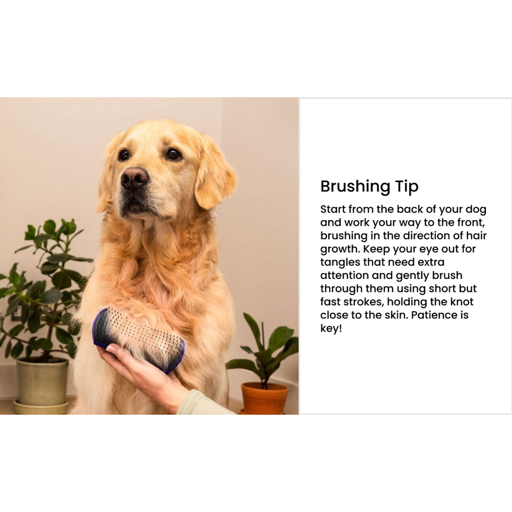 Pet Teezer De-shedding